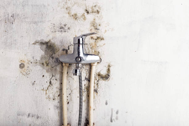 Caldwell, OH Mold Remediation Company