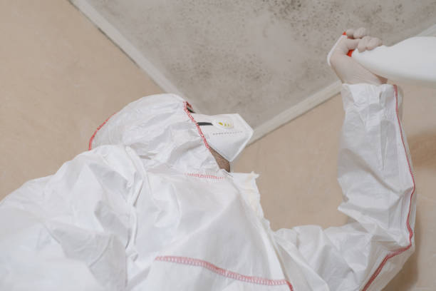 Best Health and Safety Mold Remediation in Caldwell, OH